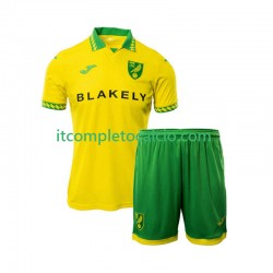 Maglia Norwich City Divisa Home 2025-2026 Manica Corta ,Bambino