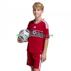 Maglia Galles Divisa Home 2026 Manica Corta ,Bambino