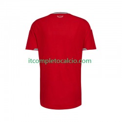Maglia Galles Divisa Home 2026 Manica Corta ,Uomo