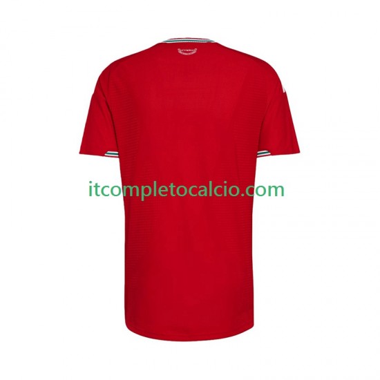 Maglia Galles Divisa Home 2026 Manica Corta ,Uomo