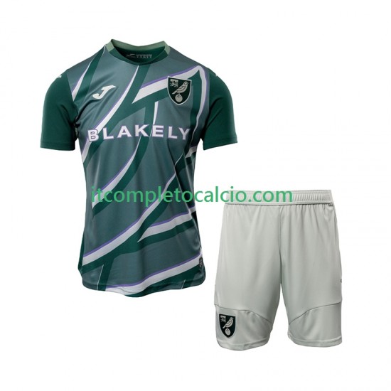 Maglia Norwich City Divisa Away 2025-2026 Manica Corta ,Bambino