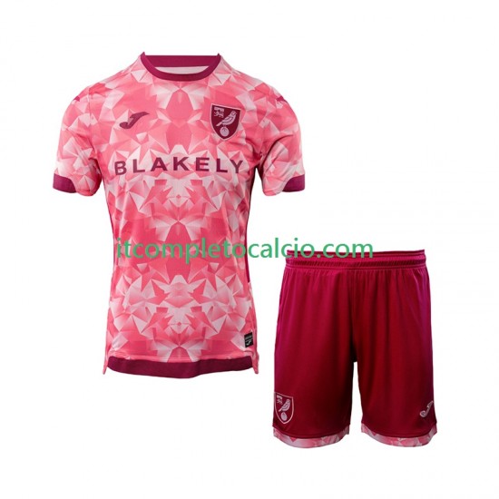 Maglia Norwich City Terza Divisa 2025-2026 Manica Corta ,Bambino