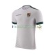 Maglia Bolivia Divisa Away 2023 Manica Corta ,Uomo