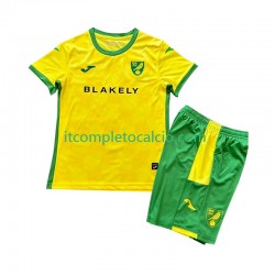 Maglia Norwich City Divisa Home 2024-2025 Manica Corta ,Bambino