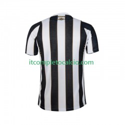 Maglia Santos Divisa Away 2024-2025 Manica Corta ,Uomo