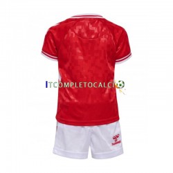 Maglia Danimarca Divisa Home Euro 2024 Manica Corta ,Bambino