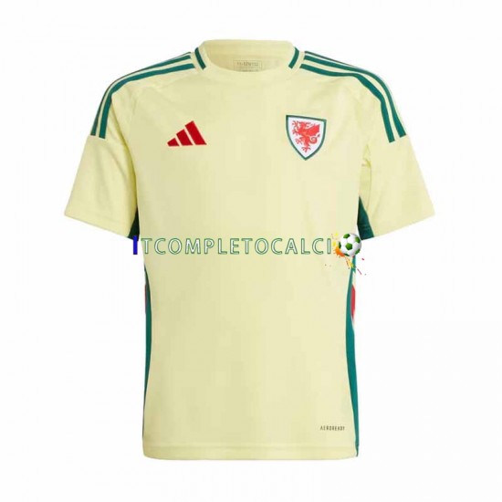 Maglia Galles Divisa Away 2024 Manica Corta ,Uomo