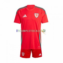 Maglia Galles Divisa Home 2024 Manica Corta ,Bambino