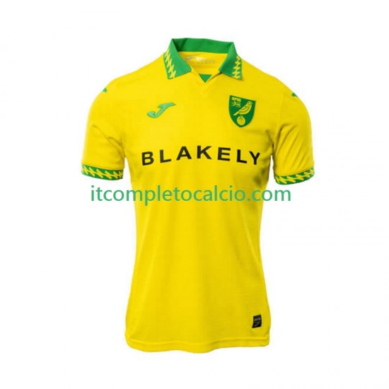 Maglia Norwich City Divisa Home 2025-2026 Manica Corta ,Uomo