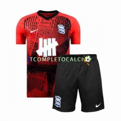 Maglia Birmingham City Divisa Away 2023-2024 Manica Corta ,Bambino