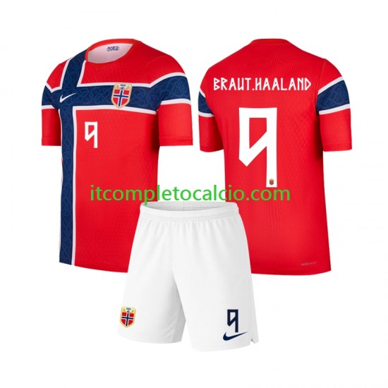 Maglia Norvegia Erling Haaland 9 Divisa Home Mondiali 2026 Manica Corta ,Bambino