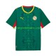 Maglia Senegal Divisa Away 2026 2027 Manica Corta ,Uomo