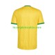 Maglia Sudafrica Divisa Home Mondiali 2026 Manica Corta ,Uomo
