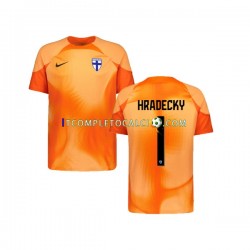 Maglia Finlandia HRADECKY 1 Portiere Divisa Home 2022-2023 Manica Corta ,Uomo