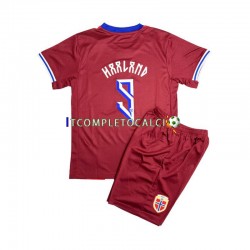 Maglia Norvegia Erling Haaland 9 Divisa Home 2024 Manica Corta ,Bambino
