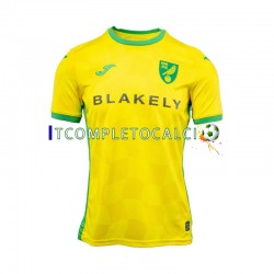 Maglia Norwich City Divisa Home 2024-2025 Manica Corta ,Uomo
