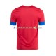 Maglia Costa Rica Divisa Home Mondiali 2022 Manica Corta ,Uomo