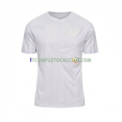 Maglia Danimarca Divisa Away Mondiali 2022 Manica Corta ,Uomo
