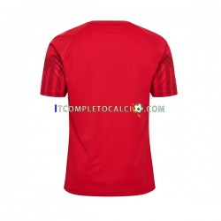 Maglia Danimarca Divisa Home Mondiali 2022 Manica Corta ,Uomo