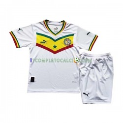 Maglia Senegal Divisa Home Mondiali 2022 Manica Corta ,Bambino