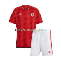Maglia Galles Divisa Home Mondiali 2022 Manica Corta ,Bambino