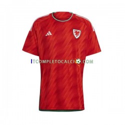 Maglia Galles Divisa Home Mondiali 2022 Manica Corta ,Uomo